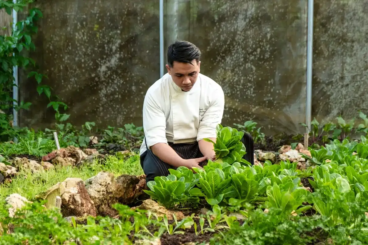 Sustainability at the heart of REVĪVŌ