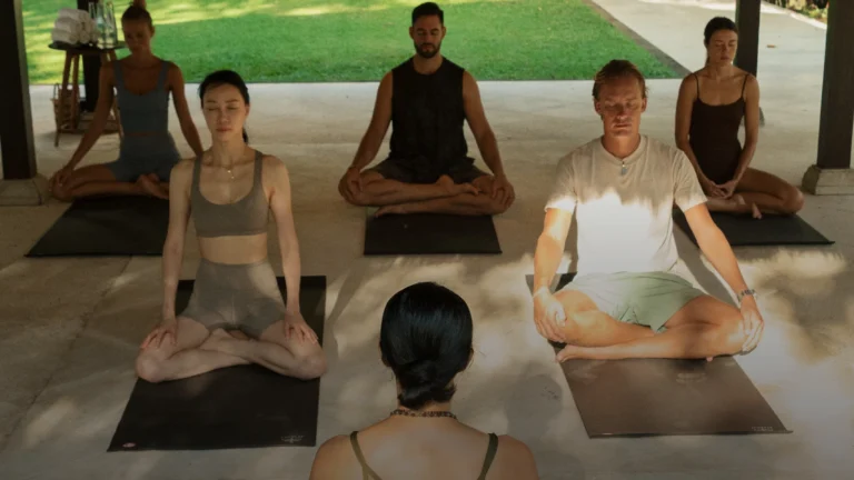 HealingGuide Recognition: A Masterclass in Structured Longevity & Healing